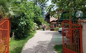 Nora S Home 4 - Panoramic Terrace & Bio Garden